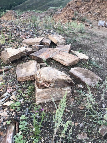 Пошаговая дорожка из плит златолит кора дерева купить в Верхнем Тагиле